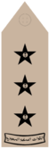 NAQIB (Field uniforms).png
