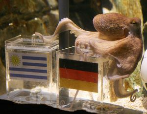 Paul the Octopus.jpg