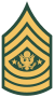 US Army E-9 SMA.svg