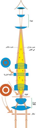 المجهر الطوري