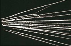 مسارات الجسيمات.jpg