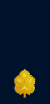 IDF rav seren gold-2.svg