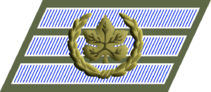 IDF-Master-Sergeant-1948.png