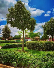 Jardin De Sidi Bennour.jpg