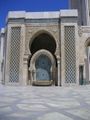 Mosquehassanii (113).JPG