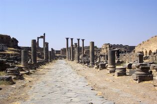 Bosra-ancient-main-street-056.jpg