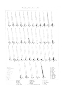 Varieties of Javanese keris
