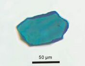 Hydrous Fe-bearing Wadsleyite.jpg