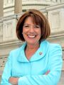 Representative Susan Davis Official Portrait (cropped).jpg