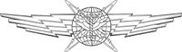 Basic Cyberspace Operator Badge.jpg