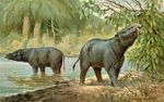 Moeritherium.jpg