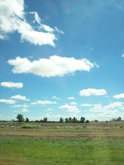 أفق پامپاس.