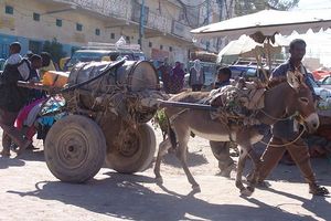 Hargeisa1.jpg
