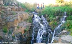 عين غزالة قرب بلدة سحم الجولان 35 كم غرب مدينة درعا.jpg