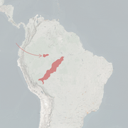 خريطة النطاق