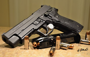 سويج سير بي226