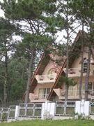 A villa in Dalat's pine forest
