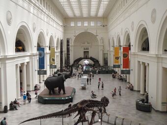 Field Museum (7398056420).jpg