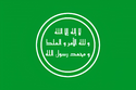 علم زيريون