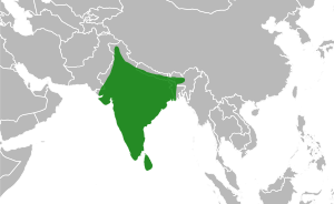 Indian Peacock Range.svg