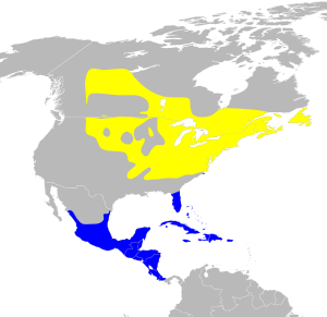 Seiurus aurocapilla map.svg