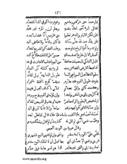 الصفحة التالية &larr;