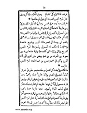 الصفحة التالية &larr;