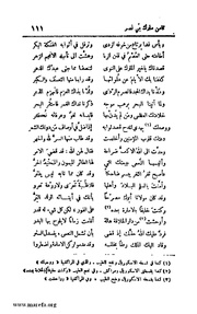 الصفحة التالية &larr;