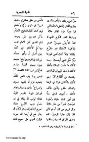 الصفحة التالية &larr;