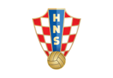 Shirt badge/Association crest