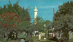 ميدان الشهداء بالزاوية