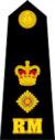 Lieutenant-Colonel