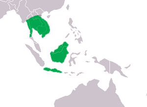 Crocodylus siamensis Distribution.png
