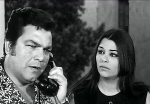 اعمال كنعان وصفي2.jpg