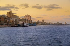 Rashid For Wiki-46.jpg