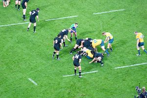 All Blacks Wallabies.jpg