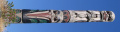 A totem pole in Totem Park, Victoria, British Columbia.