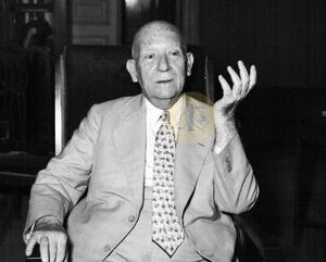 عبد الرحمن الرافعي