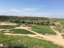 بساتين ديالى في قضاء الخالص.