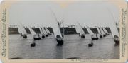 Stereoscopic photograph of a fleet of Arab boats upon the Nile, Egypt
