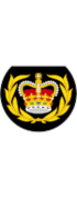 British Royal Marines OR-8.svg