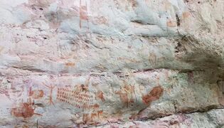 قسم من الفن الصخري الموثق حديثًا، بما في ذلك ما يُعتقد أنه لوحة لحيوان الماستودون.