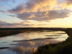 Unzha near Kologriv.jpg