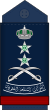 17.RSAF-GEN.svg