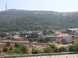 صورة لمرگليوت.