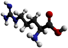 Arginine-3D-balls-by-AHRLS-2012.png