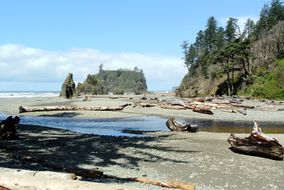 Cedar Creek Abbey Island Ruby Beach.jpg