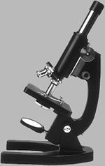 مجهر استقطابي (أو بتروغرافي)