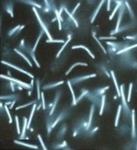 صورة معبرة عن الموضوع ميثانية نارية