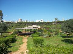 Beyrouth bois des pins 09.jpg